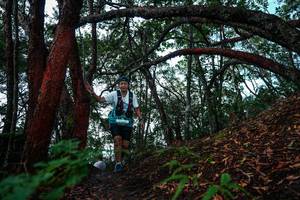 BIB: 
                            <button type="button" onclick="openModal(26346618)" class="btn btn-primary btn-sm float-right btn-popup" data-toggle="modal" data-target=".modal-high-quality">
                        <i class="fas fa-shopping-cart"></i> Add to Cart
                    </button>
                                            <button type="button" onclick="isThisMe(26346618, true)" class="btn btn-success btn-sm float-right btn-popup btn-isme hidden" data-toggle="tooltip" data-placement="bottom" title="นี่คือรูปของคุณใช่ไหม คลิกที่นี่เพื่อเอาเข้าอัลบั้ม">
                        <i class="fas fa-plus"></i> Add to album
                    </button>
                    <button type="button" onclick="isThisMe(26346618, false)" class="btn btn-warning btn-sm float-right btn-popup btn-isnotme hidden">
                        <i class="fas fa-ban"></i> Remove from album
                    </button>